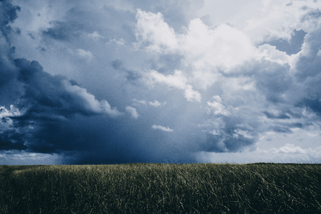 Vista do céu, Everglades, Flórida, 6 de agosto de 2020. (Foto/Francesca Ho, Unsplash)