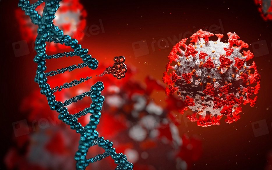 DNA Corona Virus. Imagem CC